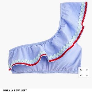 NWT J.CREW Bikini Bathing Suit Swim Wear L/XL